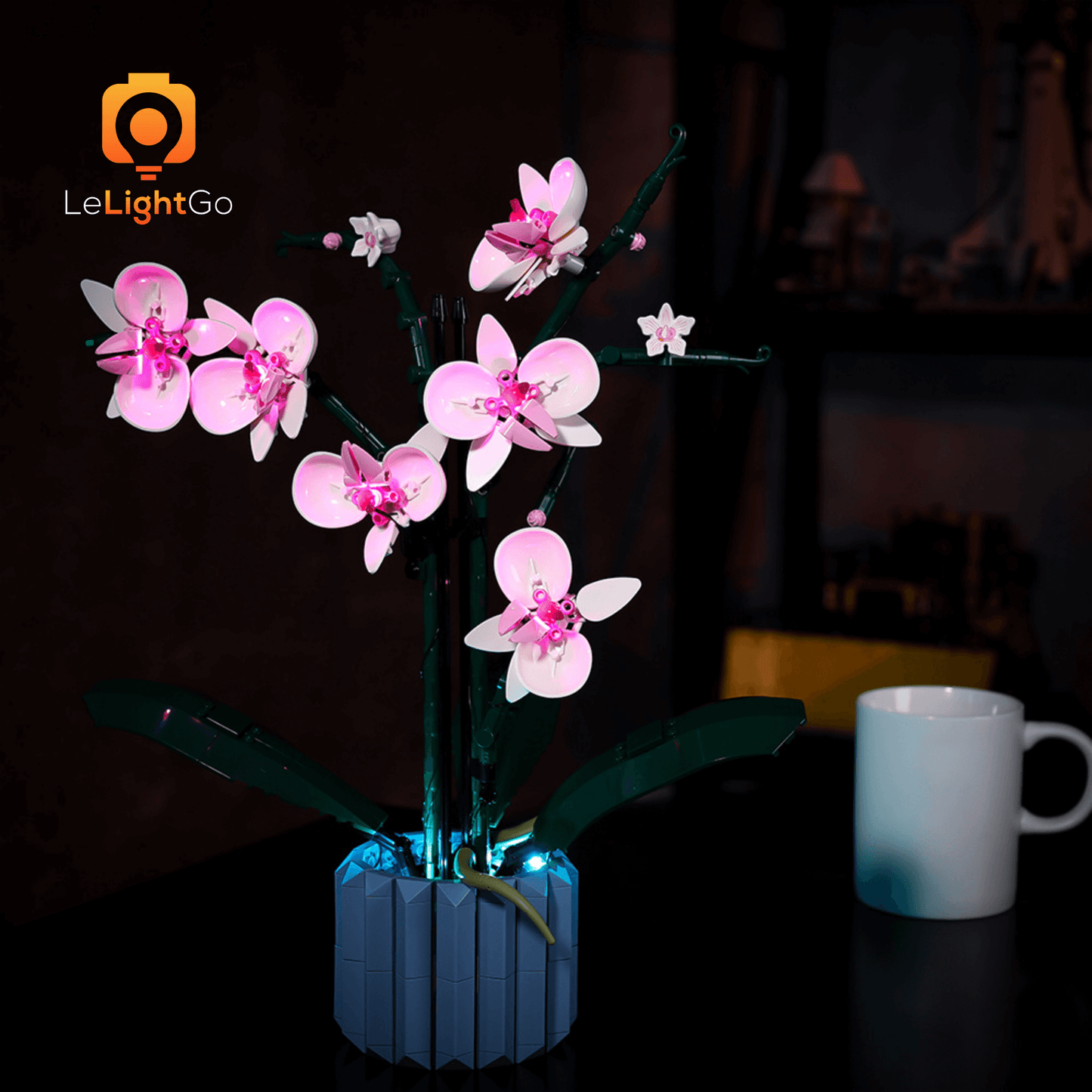 Light Kit For Orchid 10311