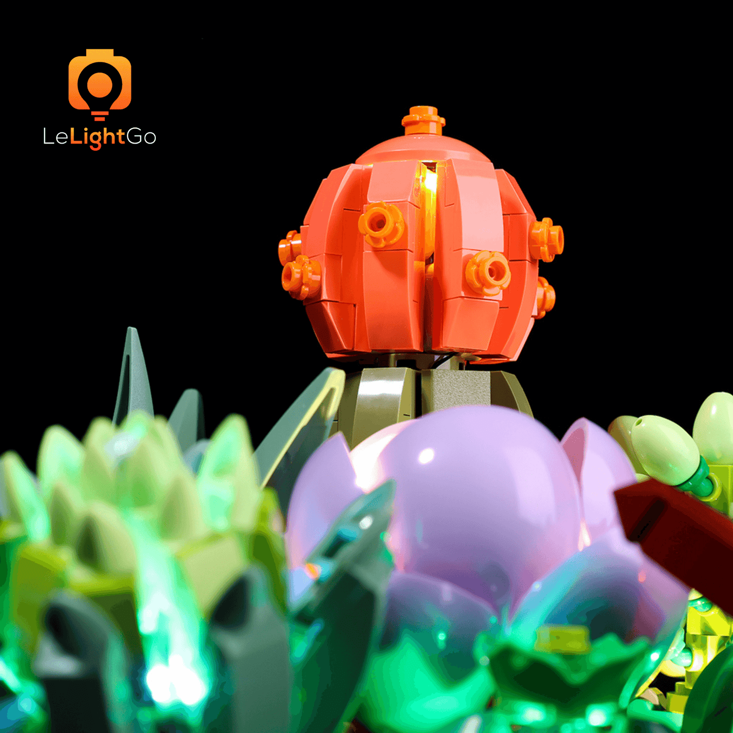 Light Kit For Succulents 10309