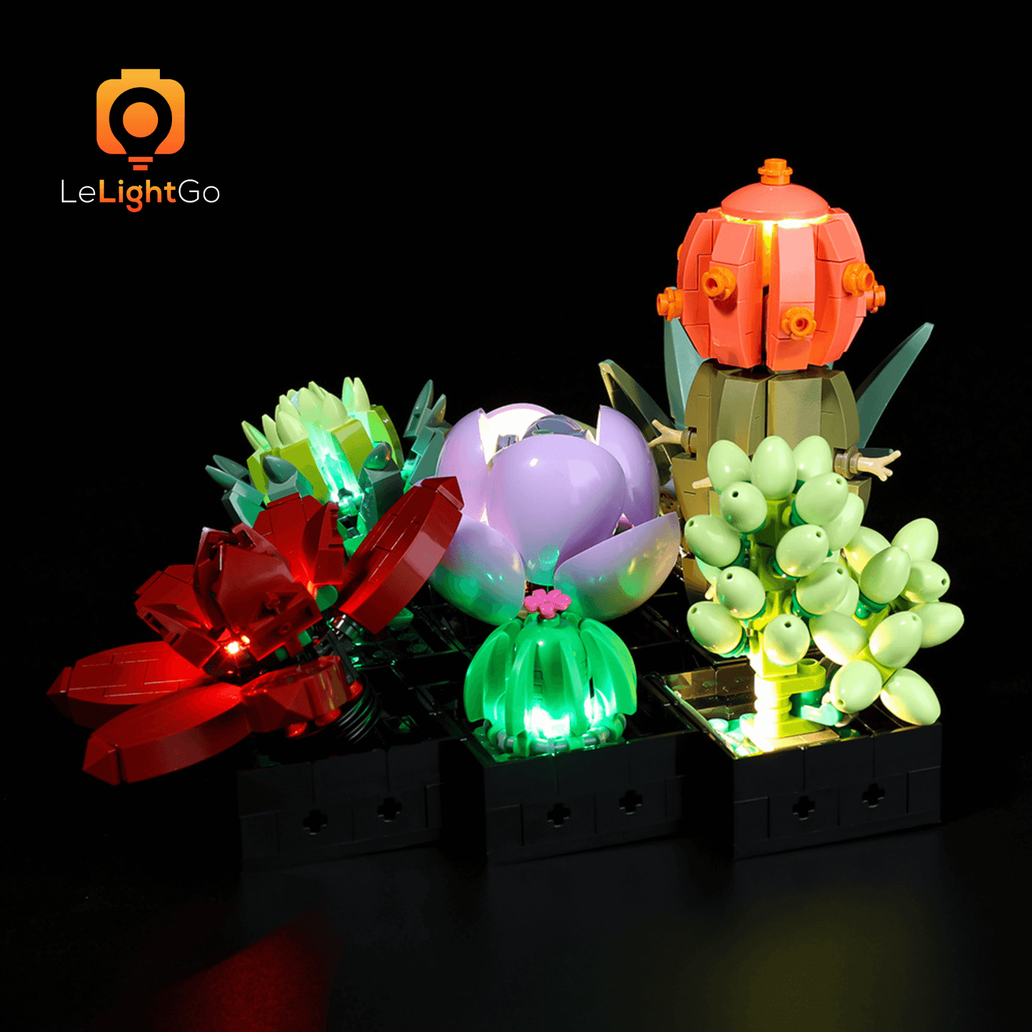 Light Kit For Succulents 10309