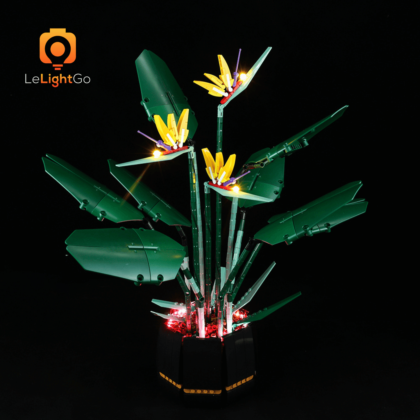 Light Kit For Bird of Paradise 10289