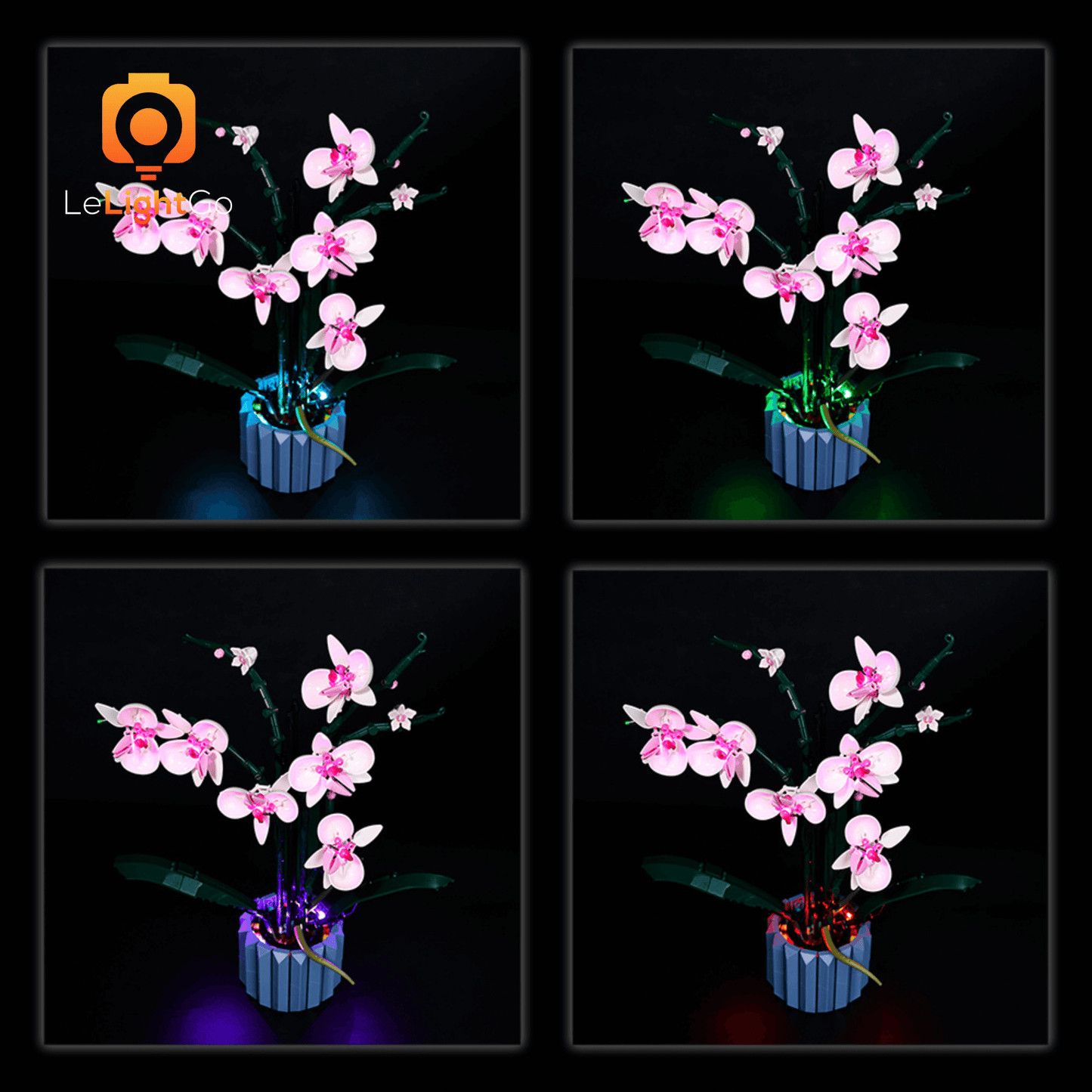 Light Kit For Orchid 10311