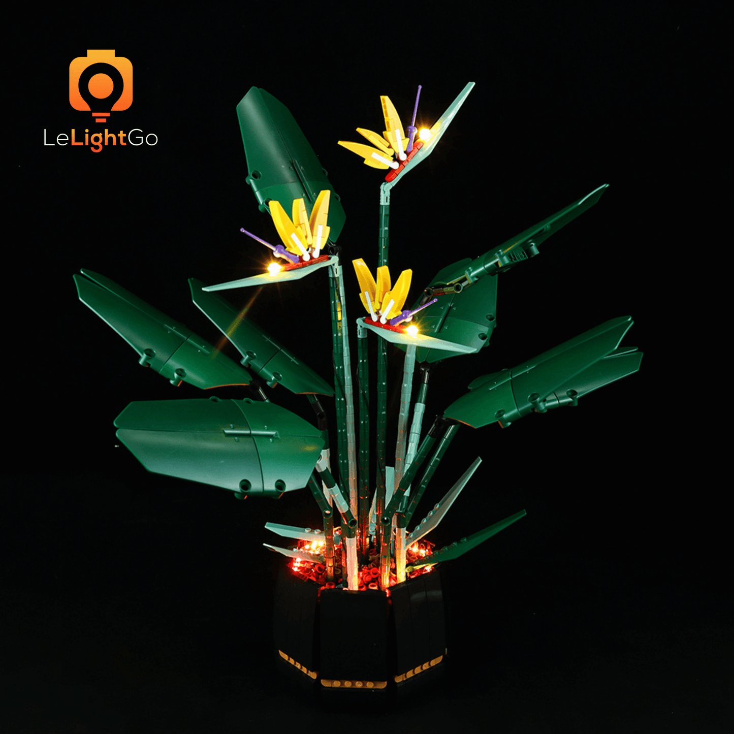 Light Kit For Bird of Paradise 10289
