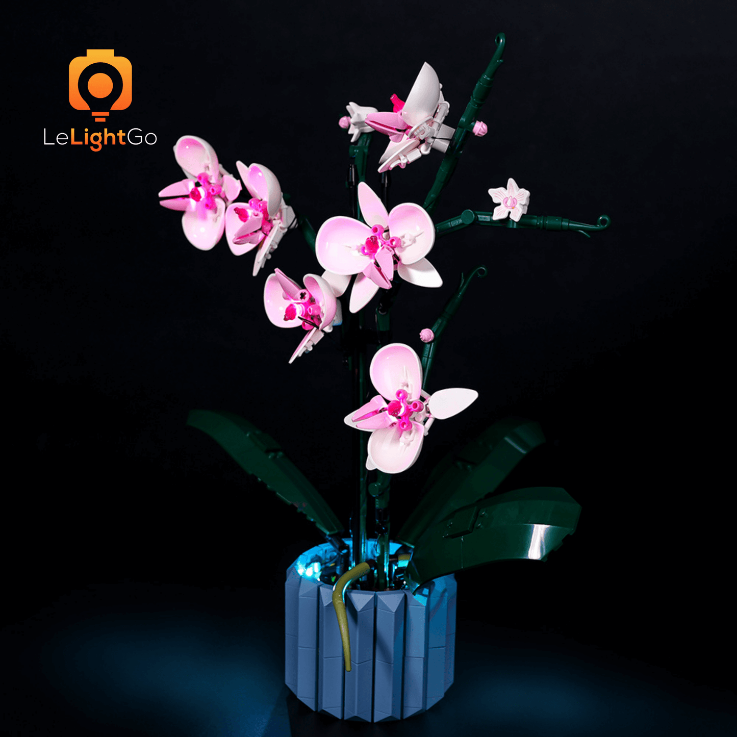 Light Kit For Orchid 10311