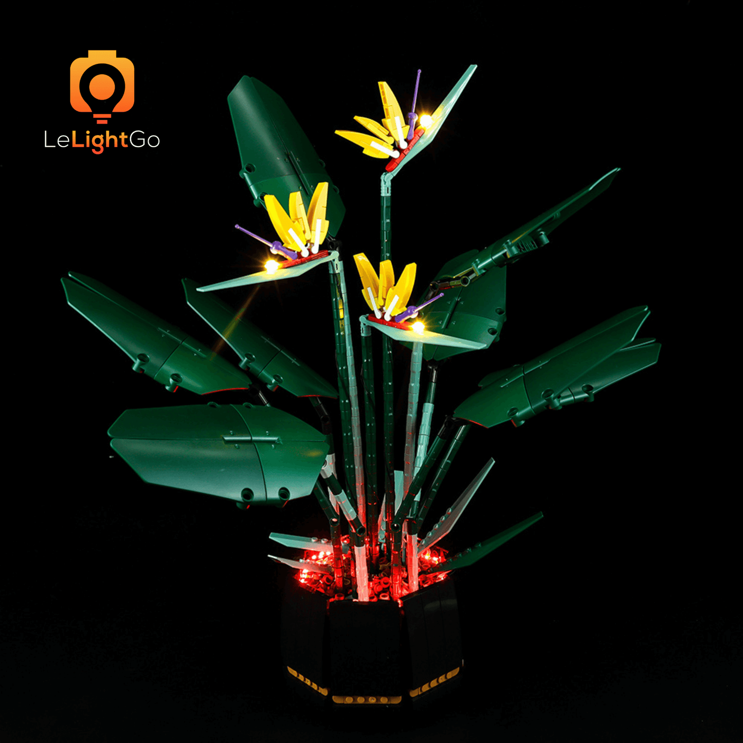 Light Kit For Bird of Paradise 10289