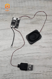 LeLightGo DIY Sound Music Module Board (Programmable, 8MB RAM)