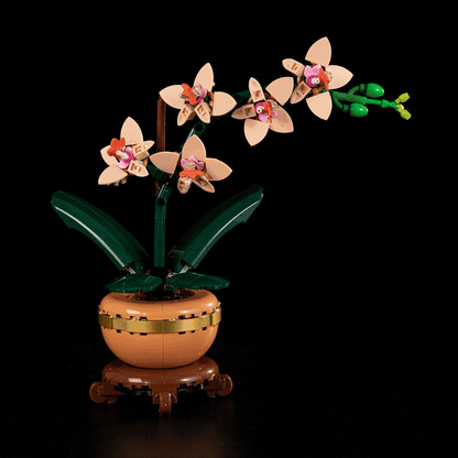 Light Kit For Mini Orchid 10343