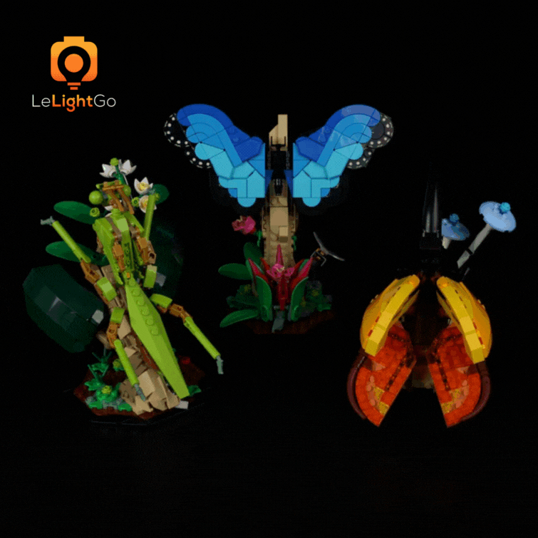 Light Kit For The Insect Collection 21342