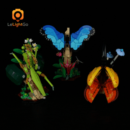 Light Kit For The Insect Collection 21342