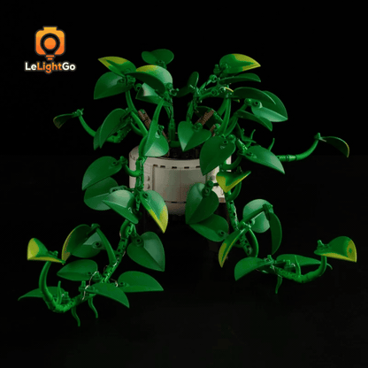 Light Kit For Hanging Golden Pothos 11512