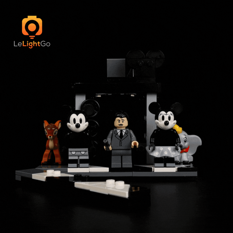 Light Kit For Walt Disney Tribute Camera 43230