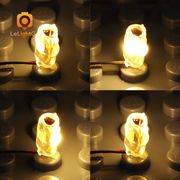 LeLightGo DIY Rotating Bit Light