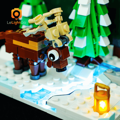 Light Kit For Santa's Front Yard 40484