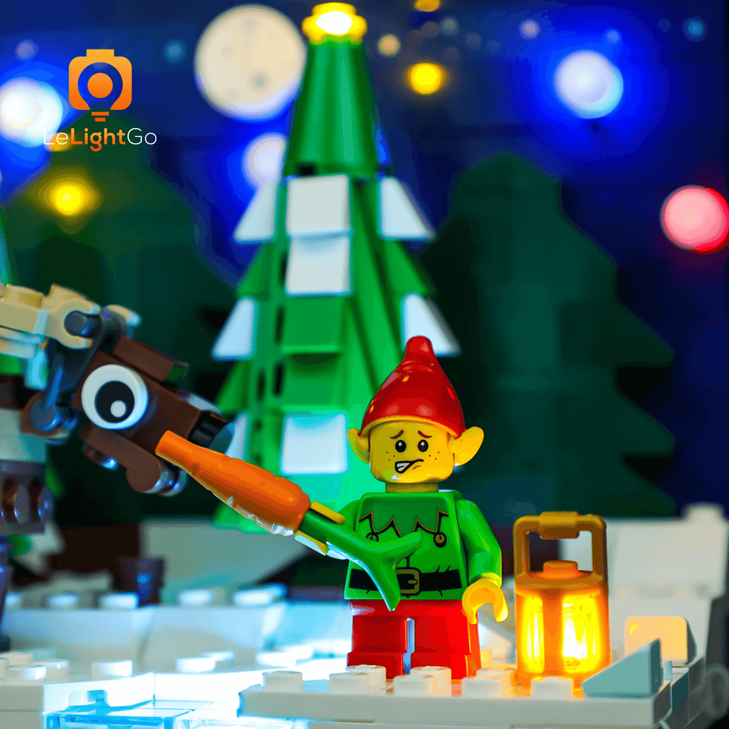 Light Kit For Santa's Front Yard 40484