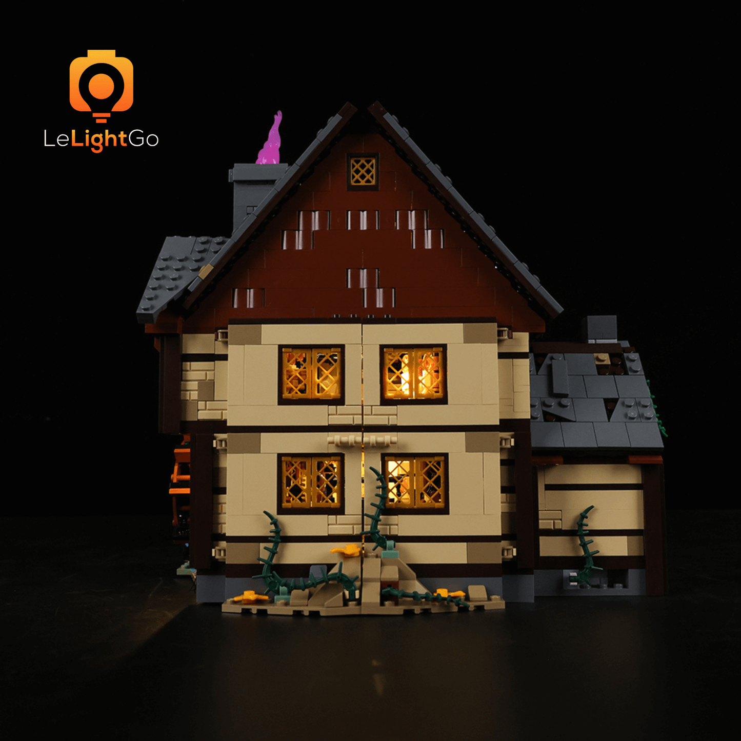 Light Kit For Disney Hocus Pocus: The Sanderson Sisters' Cottage 21341