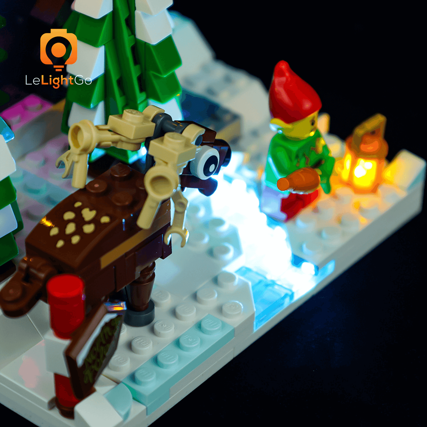 Light Kit For Santa's Front Yard 40484