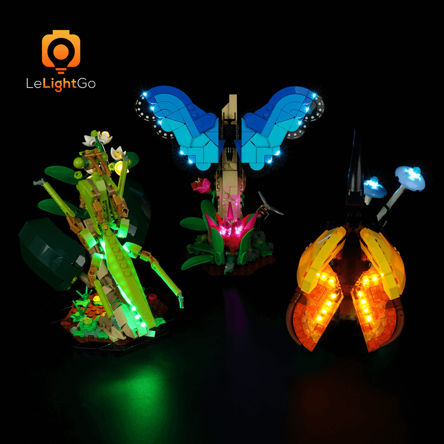 Light Kit For The Insect Collection 21342