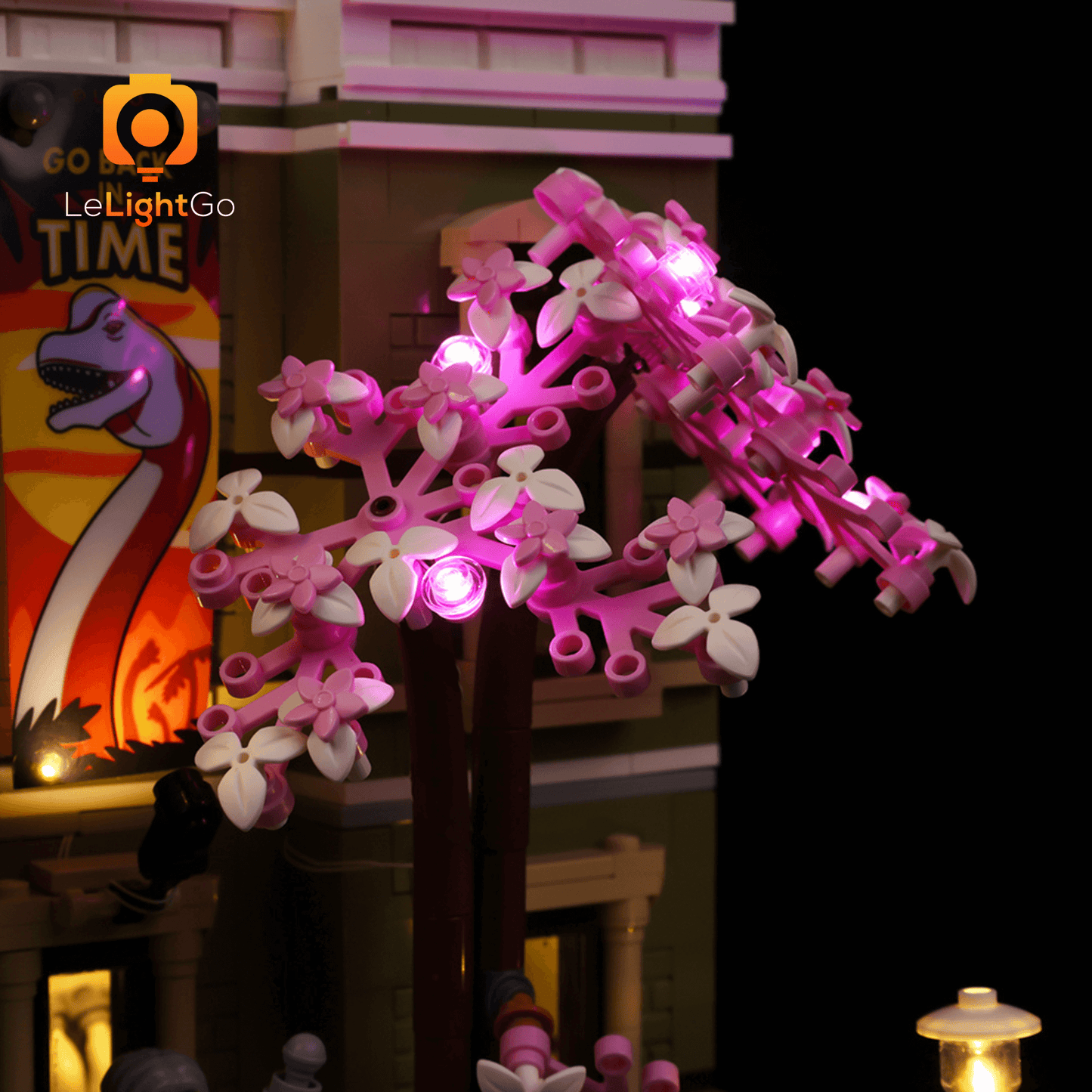 Light Kit For Natural History Museum 10326