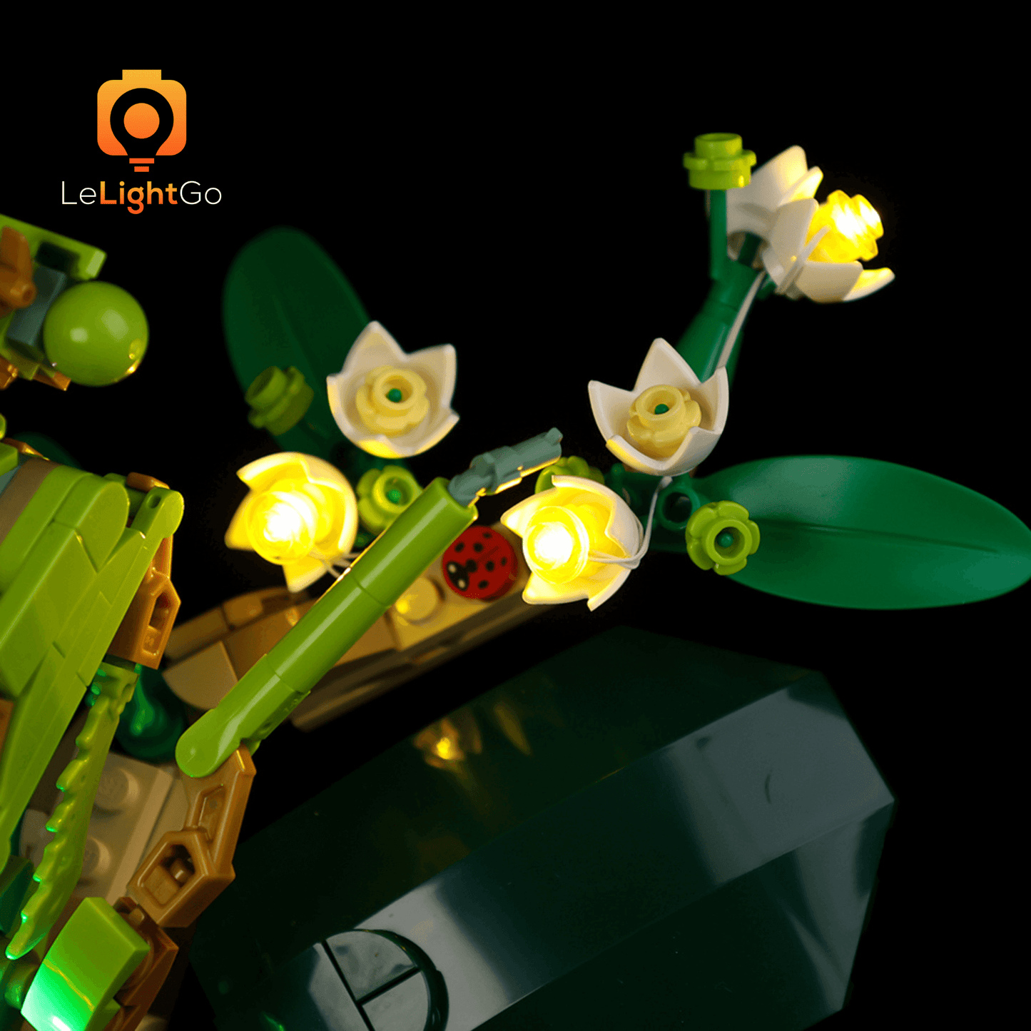 Light Kit For The Insect Collection 21342