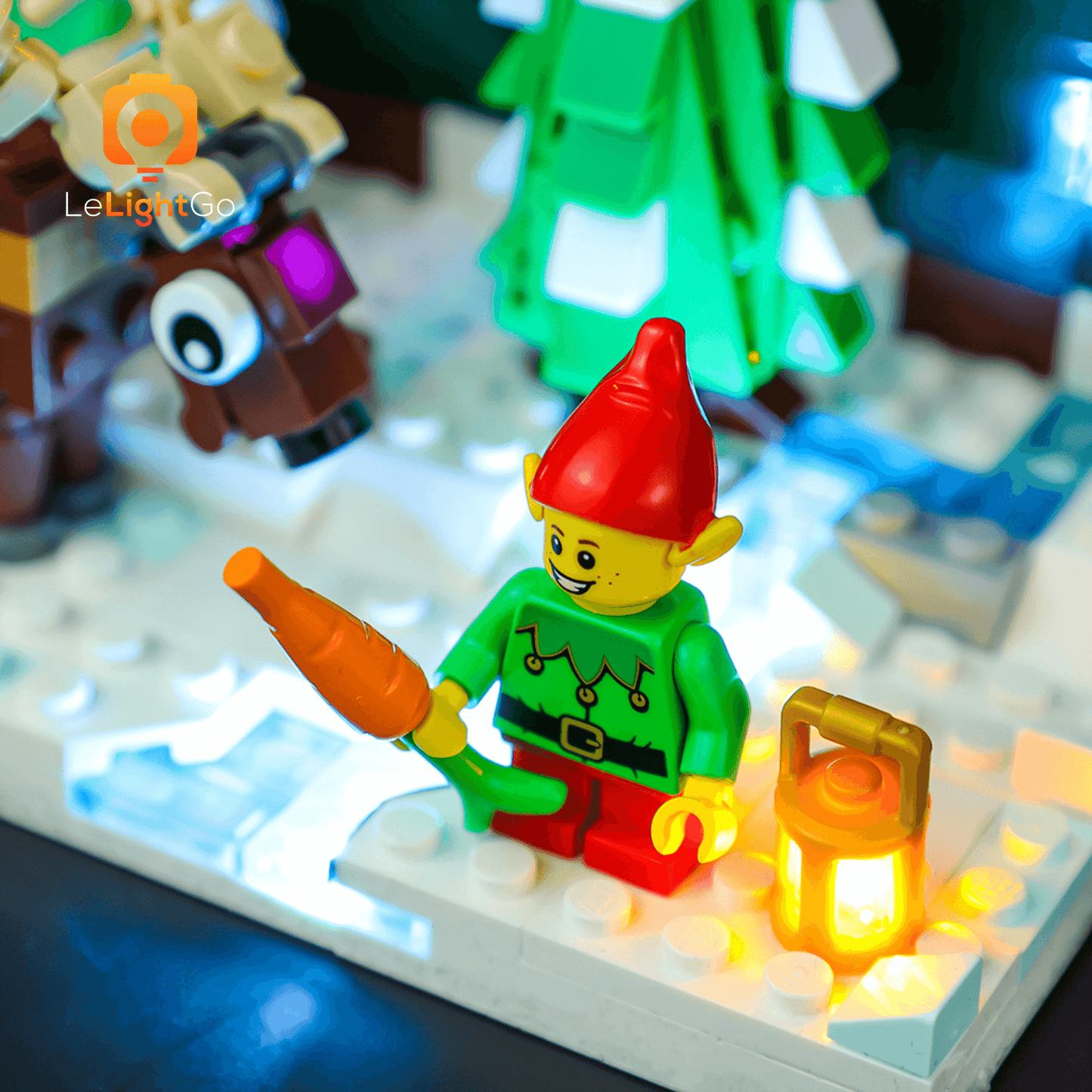 Light Kit For Santa's Front Yard 40484