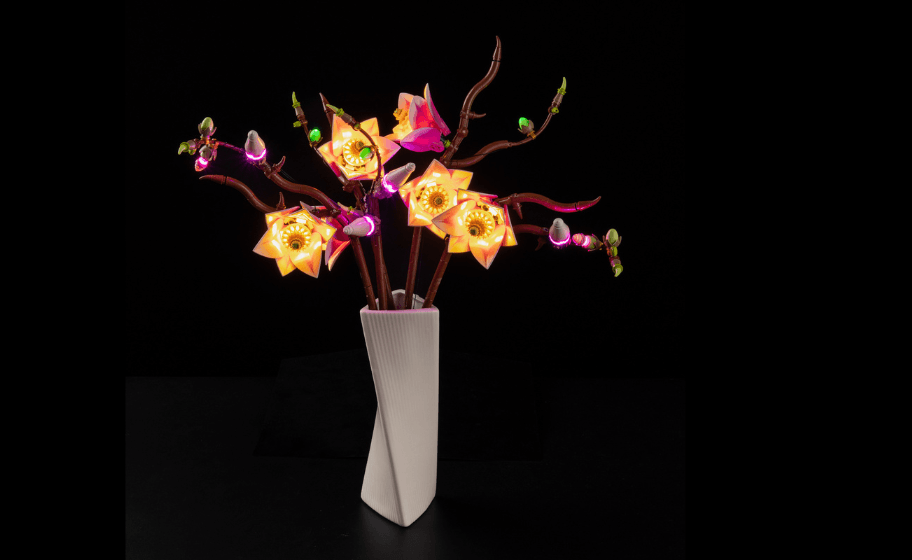 Mojave desert in the dark