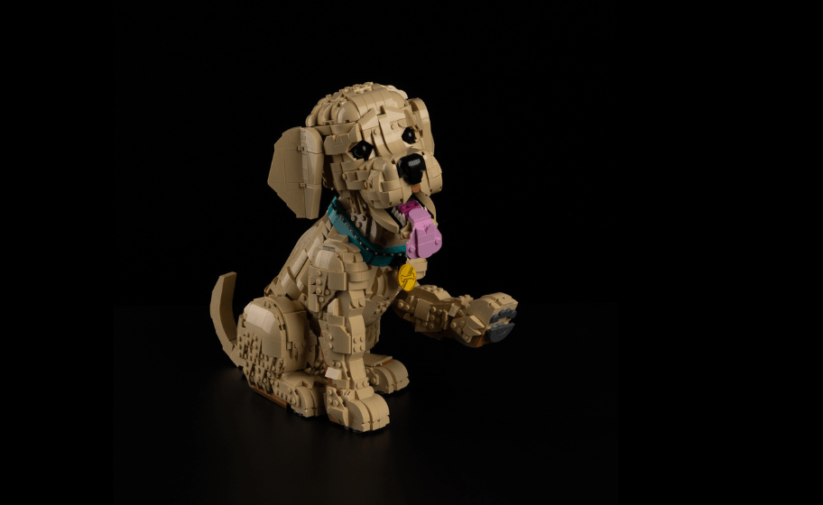 Mojave desert in the sun