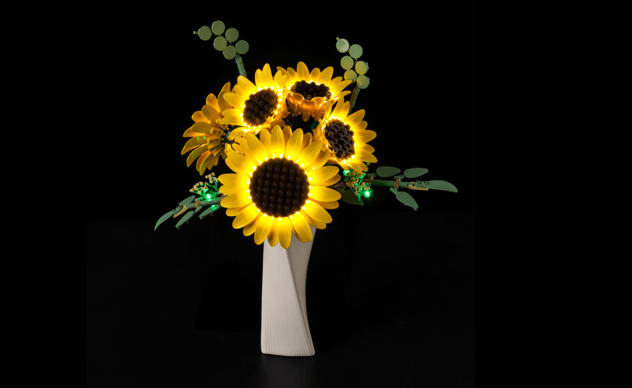 Mojave desert in the dark