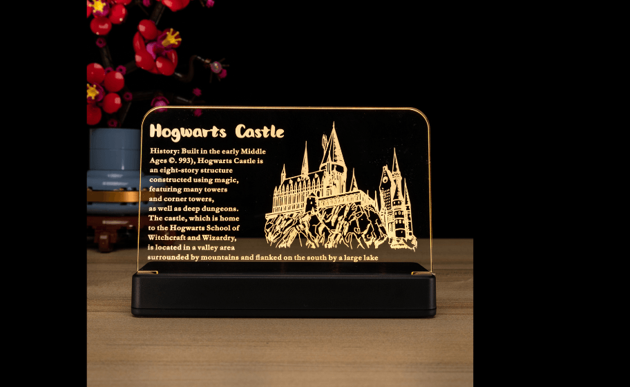 Mojave desert in the dark