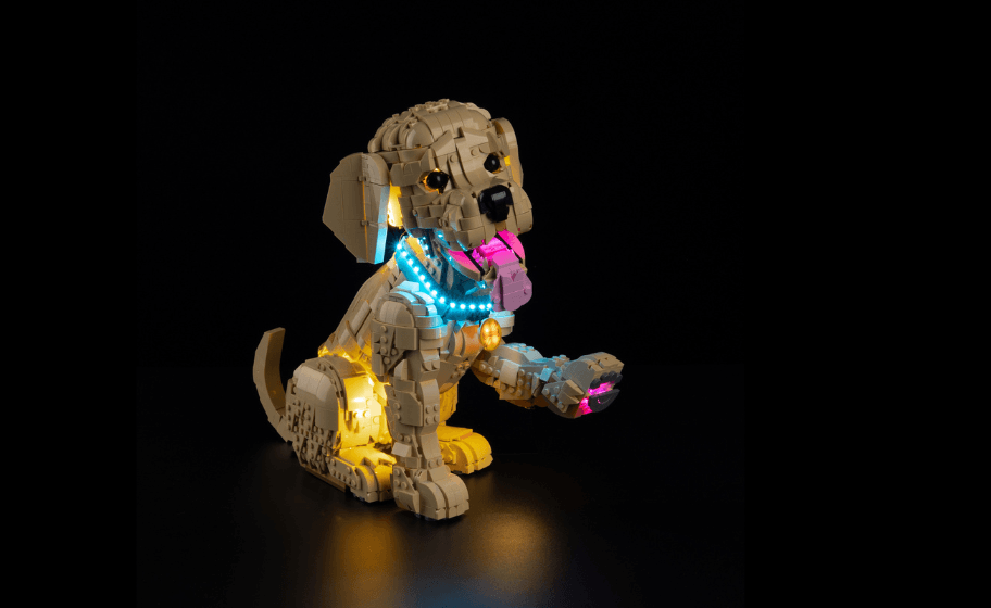 Mojave desert in the dark