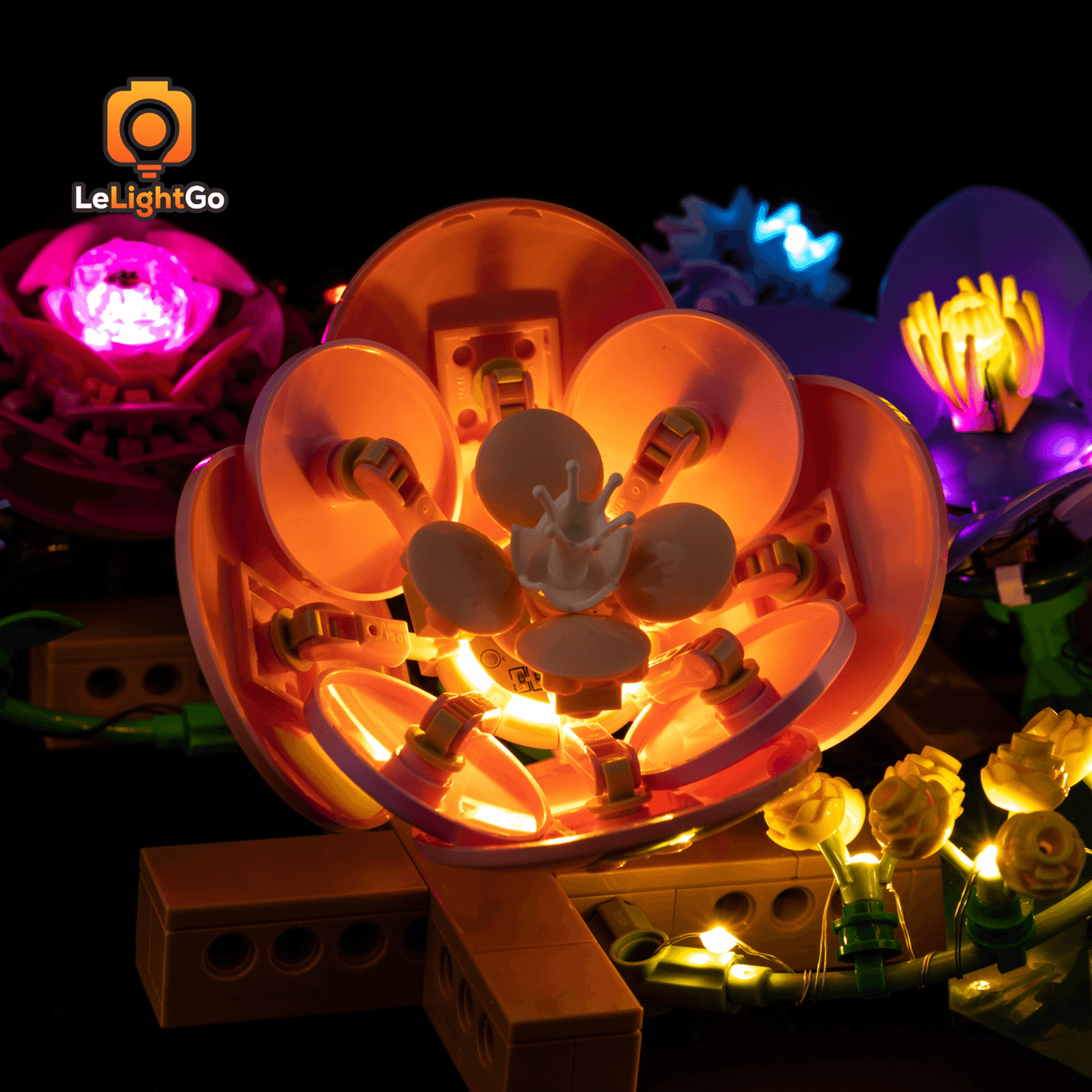 Light Kit For Flower Wall 11503