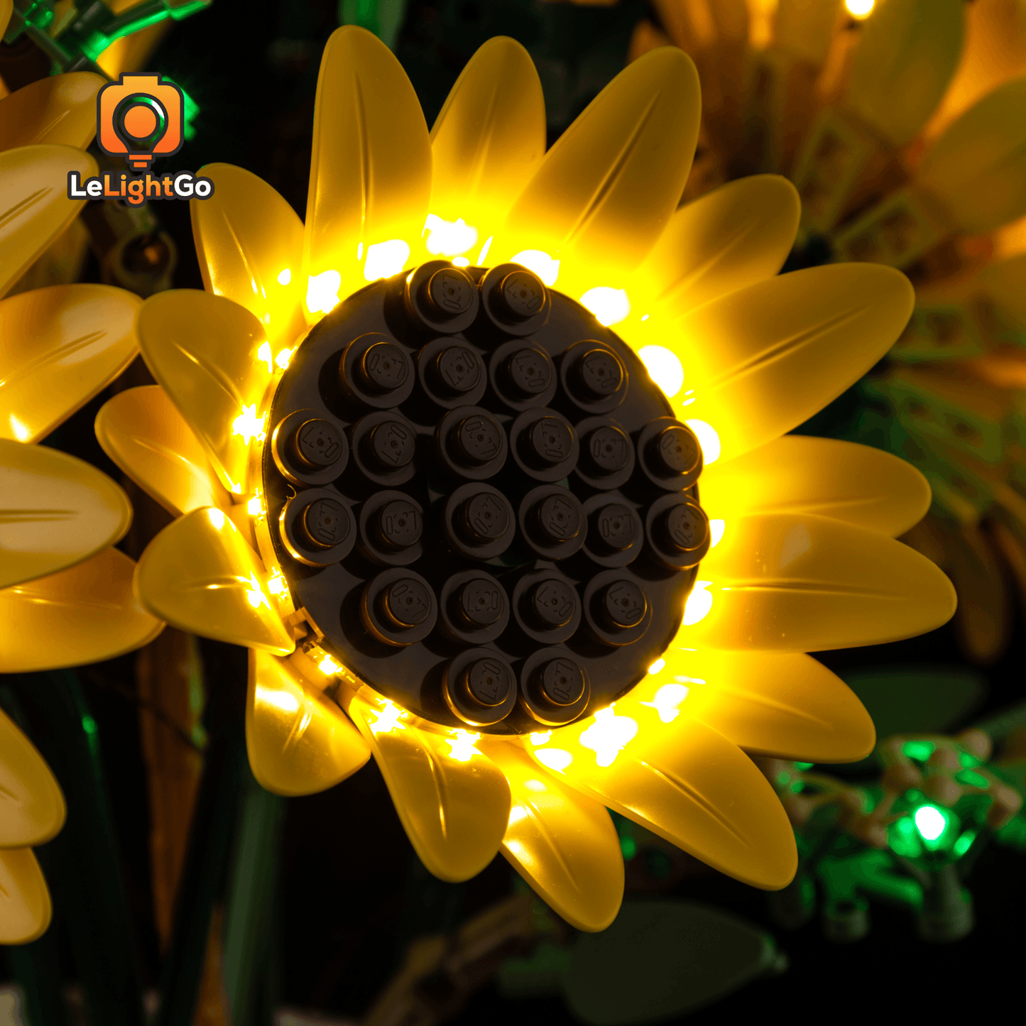 Light Kit For Sunflower Bouquet 11502