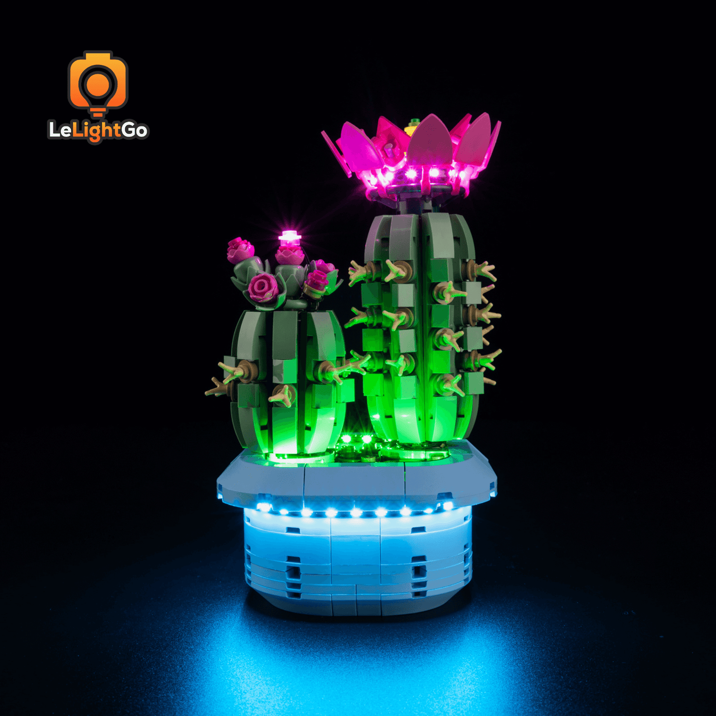 Light Kit For Flowering Cactus 11509