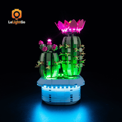Light Kit For Flowering Cactus 11509