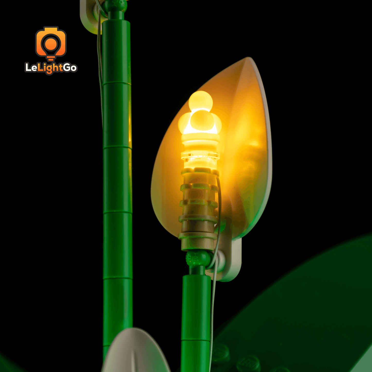 Light Kit For Peace Lily 11504