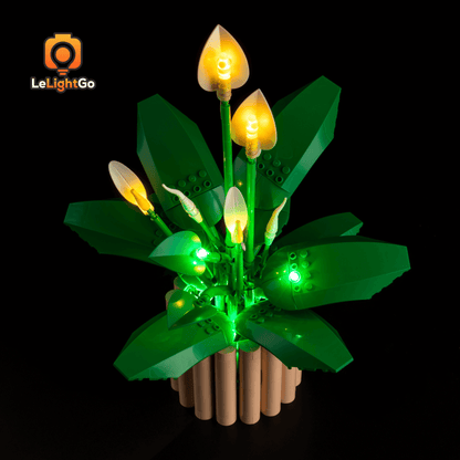 Light Kit For Peace Lily 11504