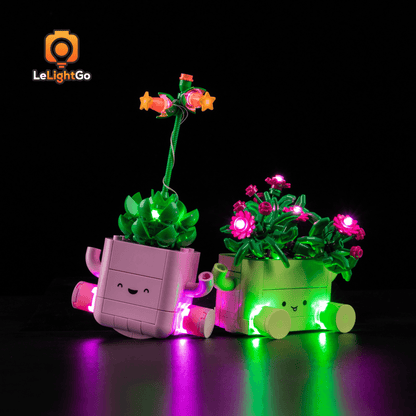 Light Kit For Rocking Plants 11506