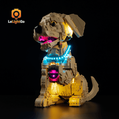 Light Kit For Golden Retriever Puppy 11384