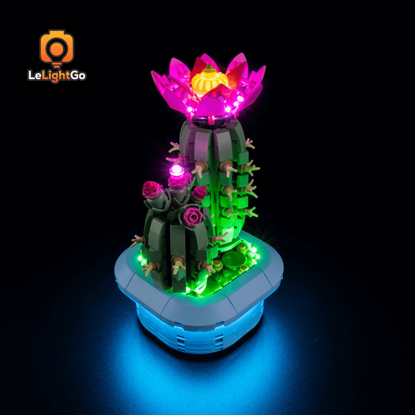 Light Kit For Flowering Cactus 11509