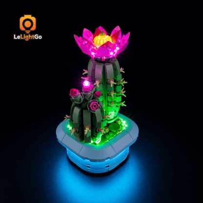 Light Kit For Flowering Cactus 11509