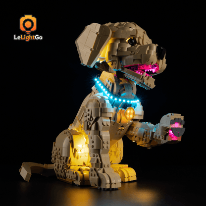 Light Kit For Golden Retriever Puppy 11384