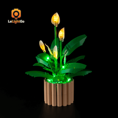 Light Kit For Peace Lily 11504