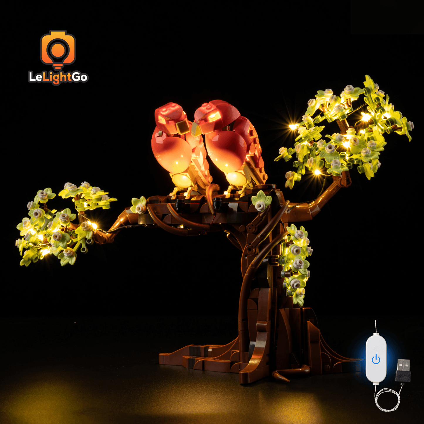 Light Kit For Love Birds 21365