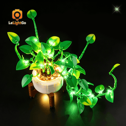 Light Kit For Hanging Golden Pothos 11512