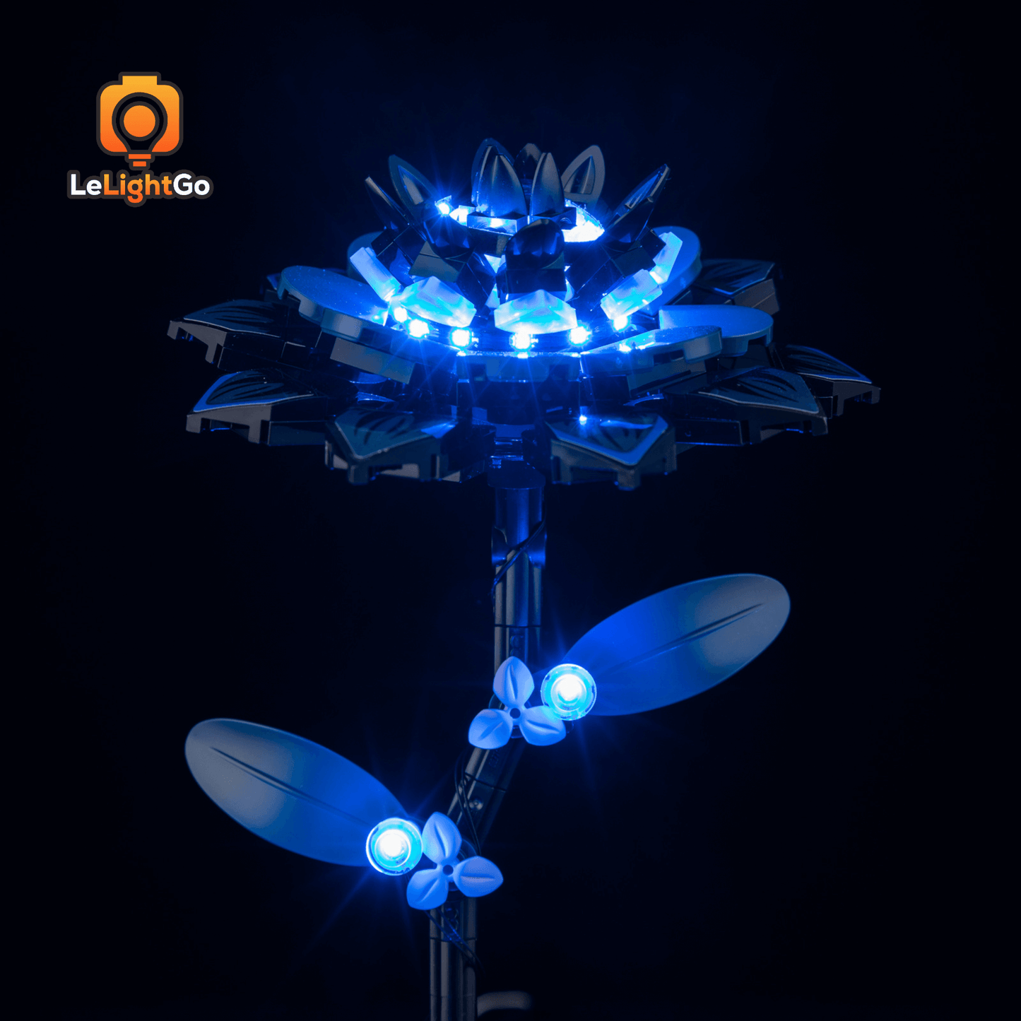 Light Kit For Black Dahlia Flower 76784