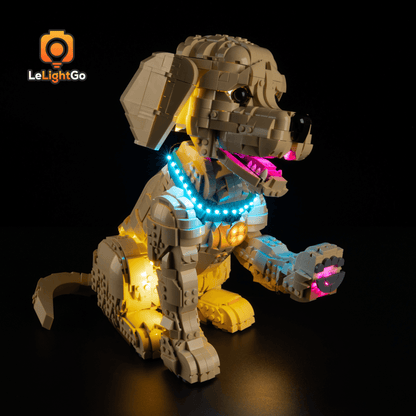 Light Kit For Golden Retriever Puppy 11384