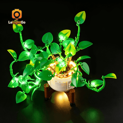 Light Kit For Hanging Golden Pothos 11512