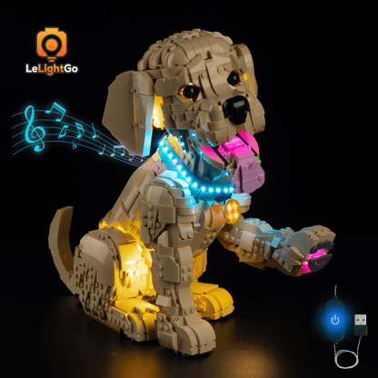 Light Kit For Golden Retriever Puppy 11384