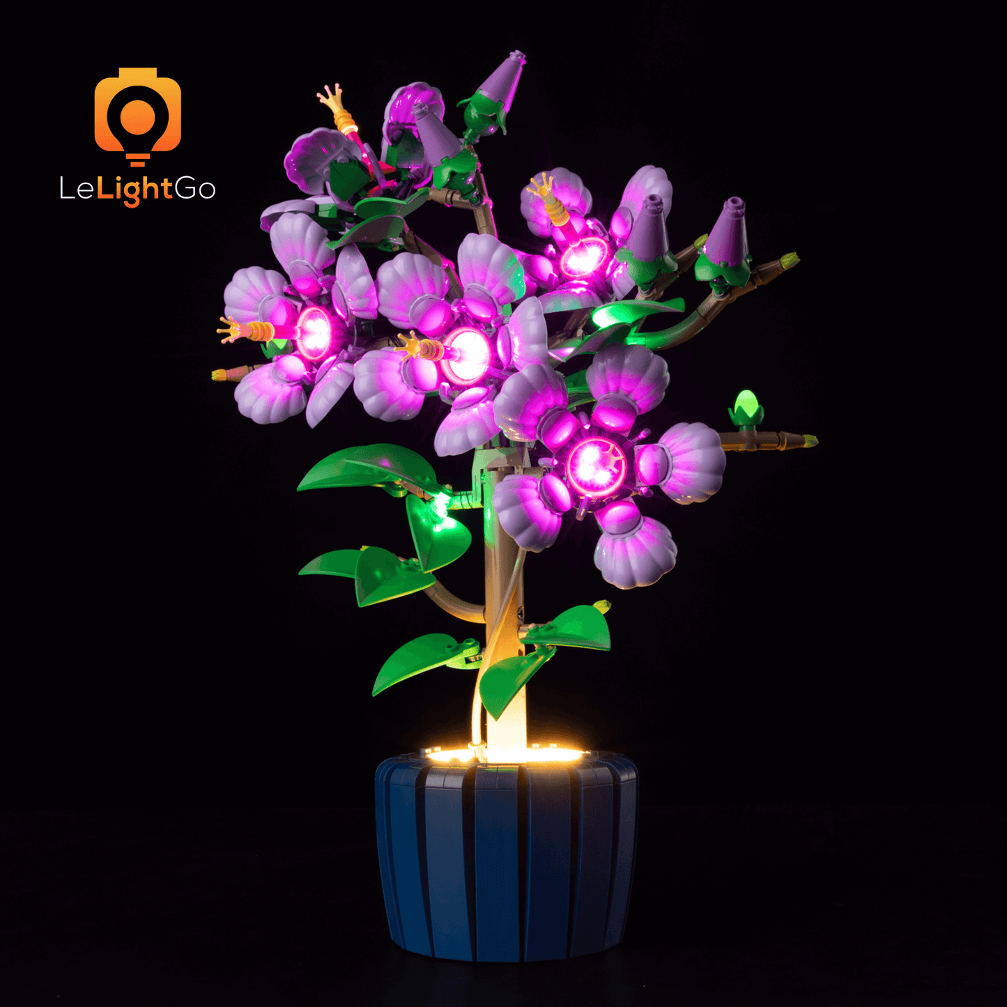 Light Kit For Hibiscus 10372