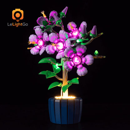 Light Kit For Hibiscus 10372