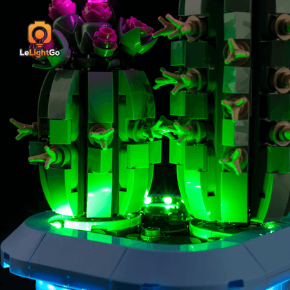 Light Kit For Flowering Cactus 11509