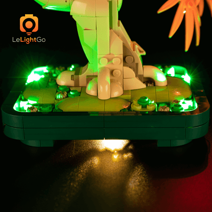 Light Kit For Japanese Red Maple Bonsai Tree 10348